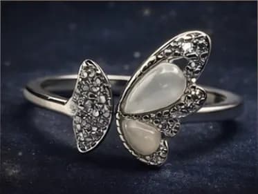 The Celestial Heritage Showcase